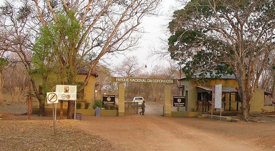 Tour no Parque Nacional da Gorongosa